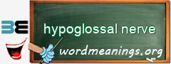 WordMeaning blackboard for hypoglossal nerve